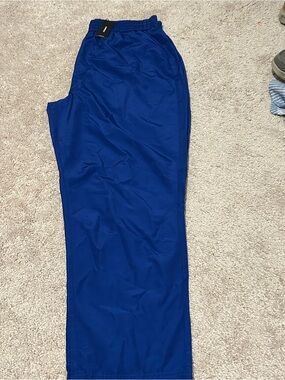 Express Royal Blue Pants